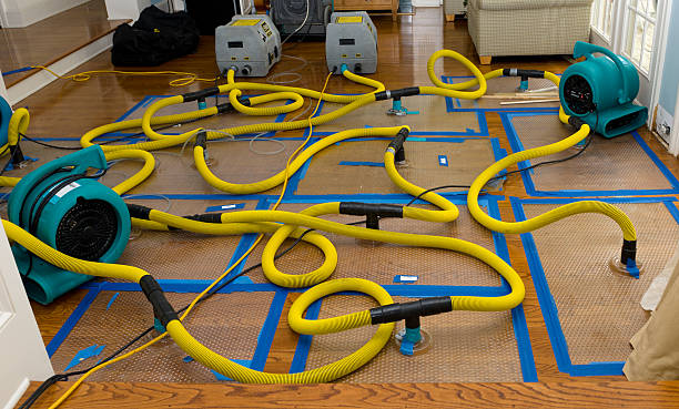 Professional Storm Water Damage Restoration technician working in Young America, MN